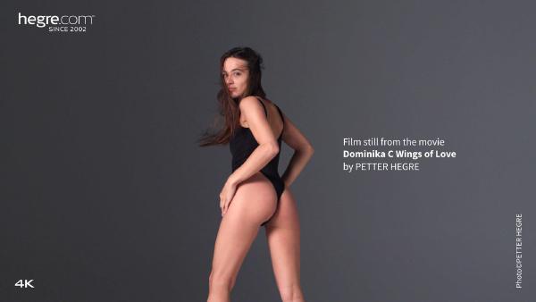 Captura de pantalla #4 de la película Dominika C Alas de amor