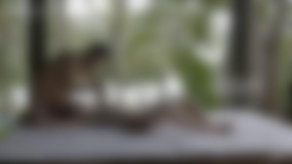 Capture d'écran #9 du film Massage Erotique Extatique