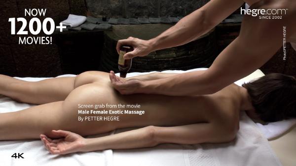 Skärmgrepp #2 från filmen Manlig Kvinnlig Exotisk Massage