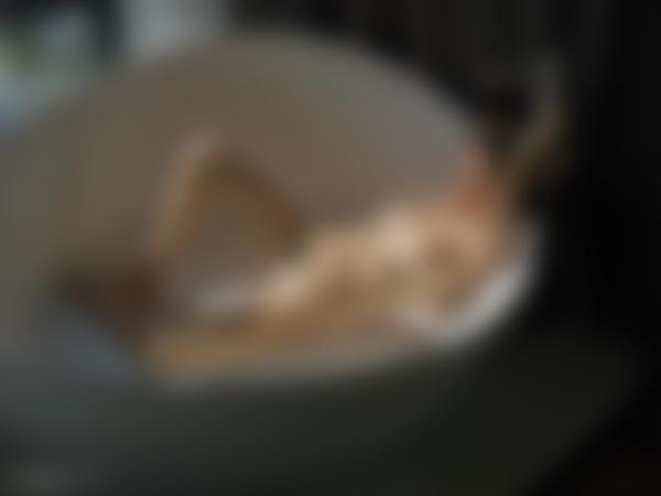 Gambar # 10 dari galeri Bentuk dan sosok Arina