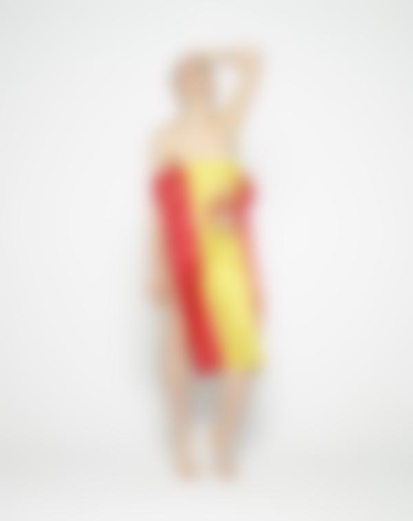 Billede #10 fra galleriet Cindy viva Espana World Cup