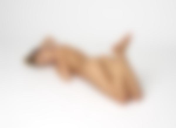 图片 #8 来自画廊 达丽娜L身材