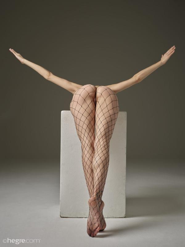 Imagem #1 da galeria Flora com espírito de luta