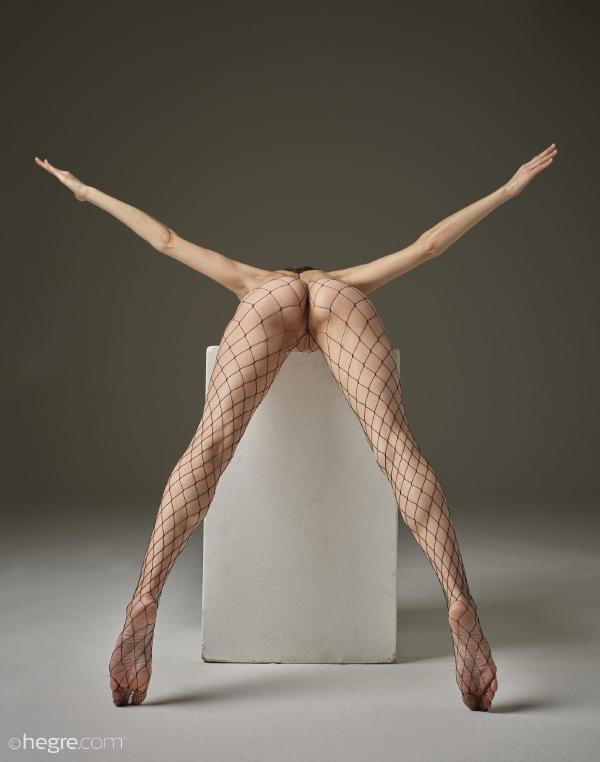 Imagem #2 da galeria Flora com espírito de luta