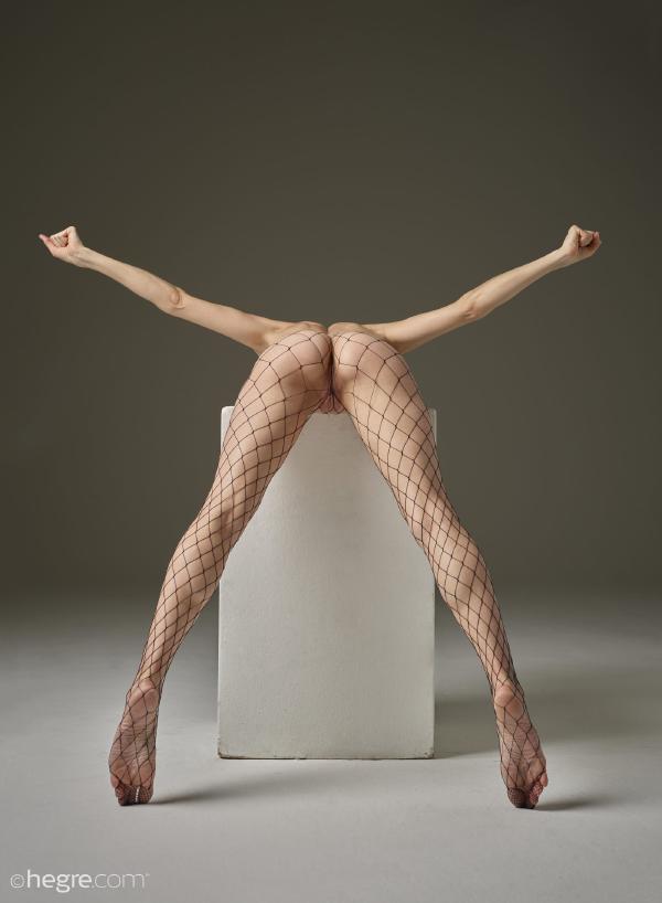 Imagem #3 da galeria Flora com espírito de luta