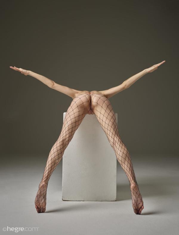 Imagem #4 da galeria Flora com espírito de luta