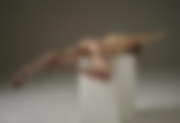 Imagem #8 da galeria Flora com espírito de luta