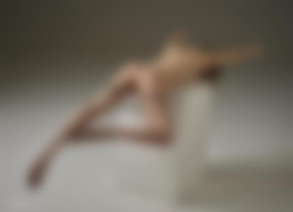 Imagem #9 da galeria Flora com espírito de luta